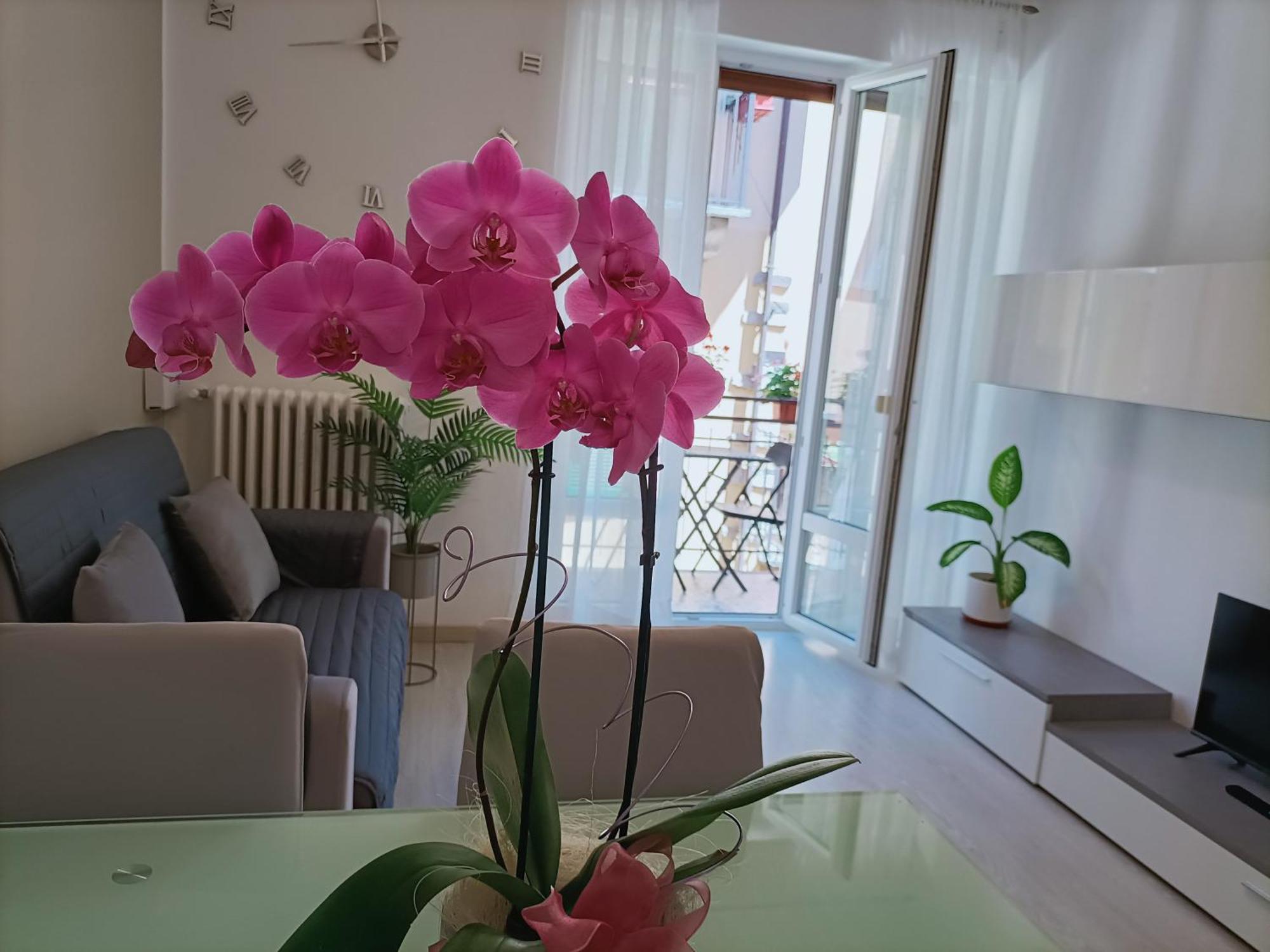 Apartment Jessy Baveno Kültér fotó